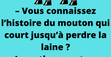 Vous connaissez l’histoire du mouton qui court jusqu’à perdre la laine ?