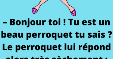 C’est l’histoire d’une dame qui se rend dans un salon de beauté. Elle entre puis se dirige dans l’espace d’attente et remarque la présence d’un perroquet. Elle s’approche de lui et lui dit :